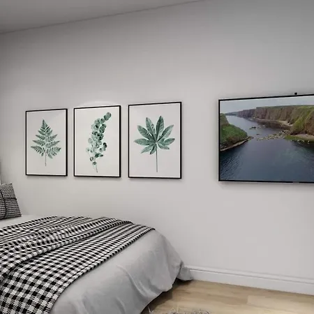 Apartment Gemuetliches Studio In Stadtzentrum Karlsruhe